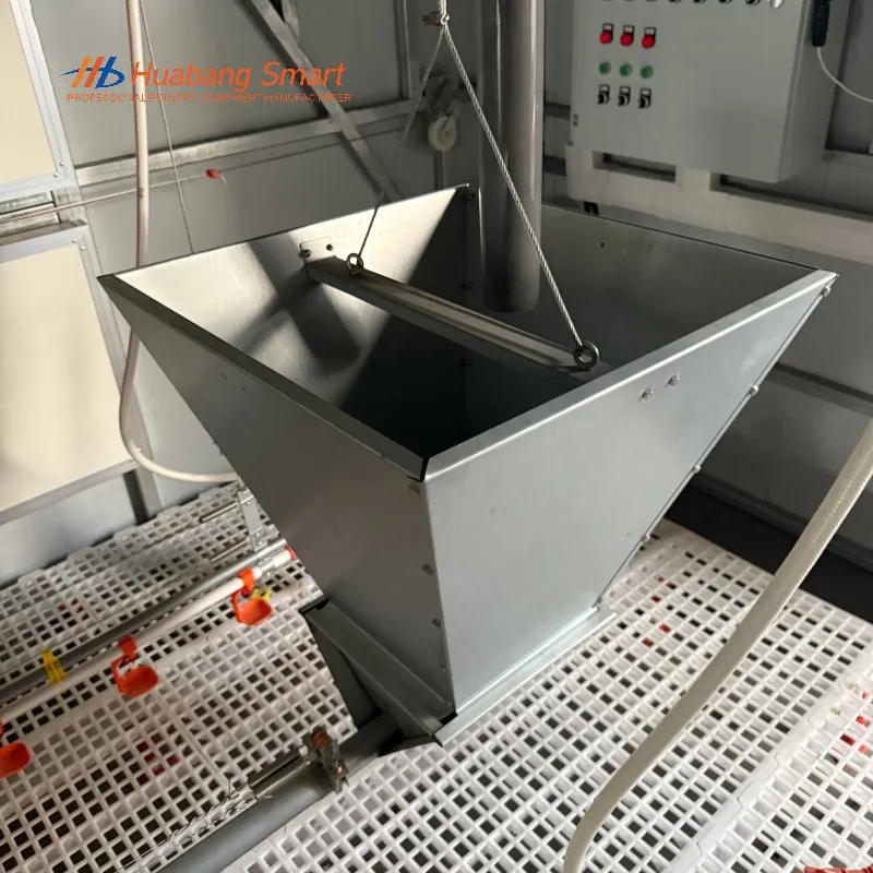 Alimentação Automática Premium Fornecendo Nutrição Consistente para Linhas de Aves de Criação em Crescimento Diariamente