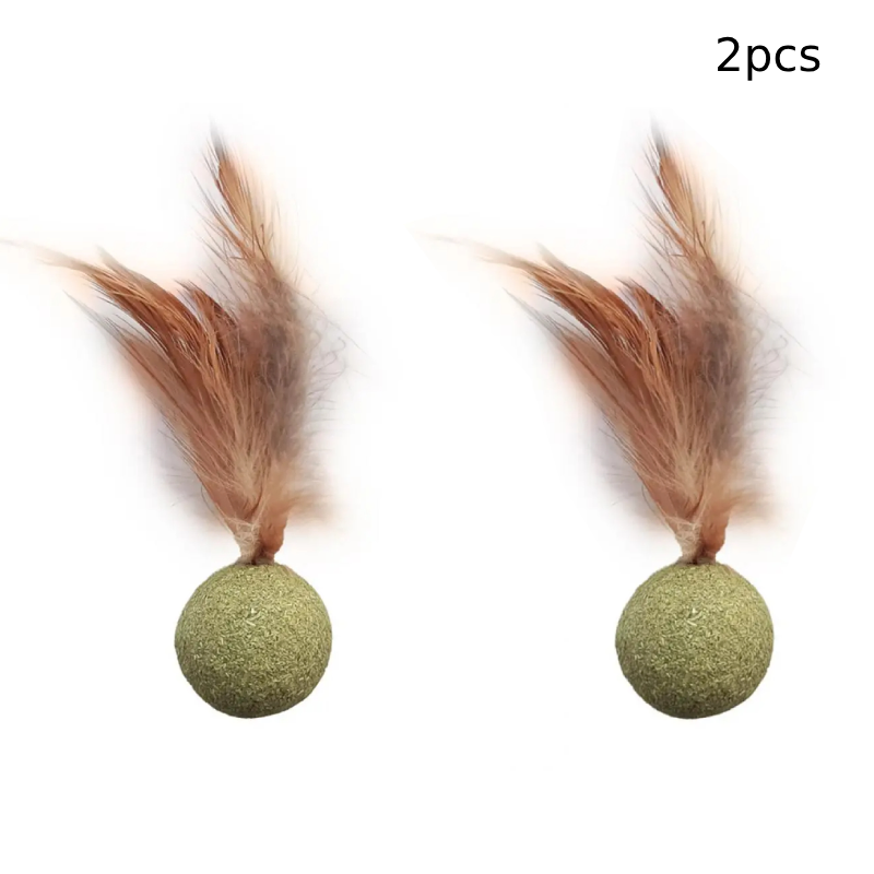 Brinquedo de Catnip para Gato - Acessório Engajador para Gato com Design de Madeira e Pena