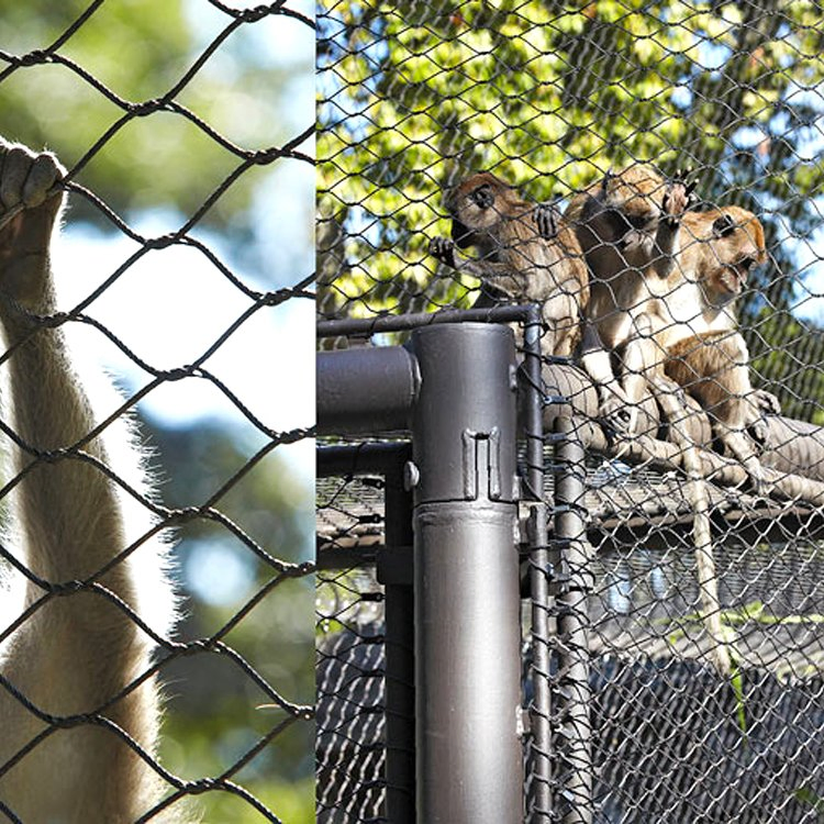 Malha de Arame de Aço Inoxidável para Zoo Malha Protetora Aviário Externo