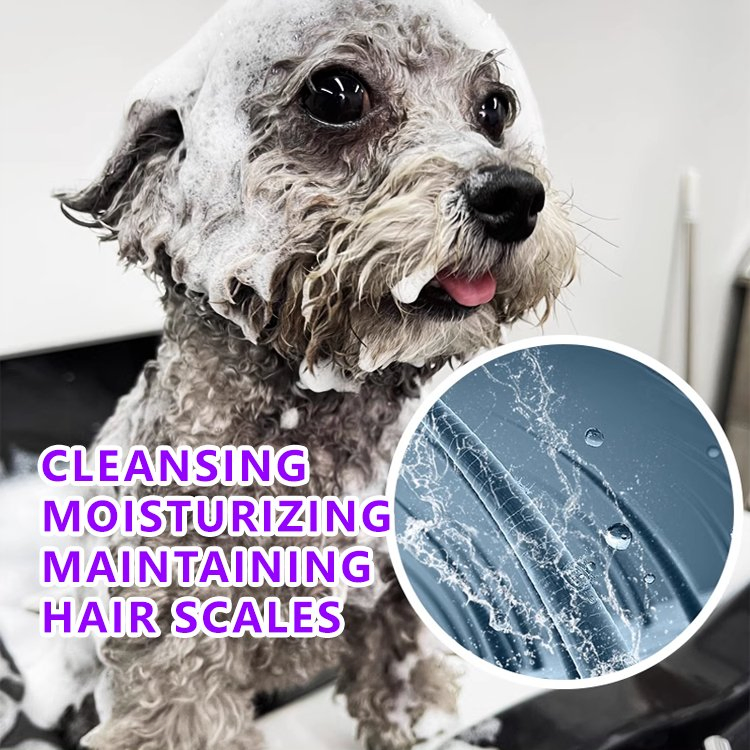 Essência de Branqueamento para Saúde Animal para Limpeza e Hidratação MSDS