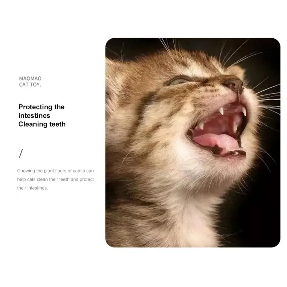 Brinquedo de Catnip para Gato - Acessório Engajador para Gato com Design de Madeira e Pena