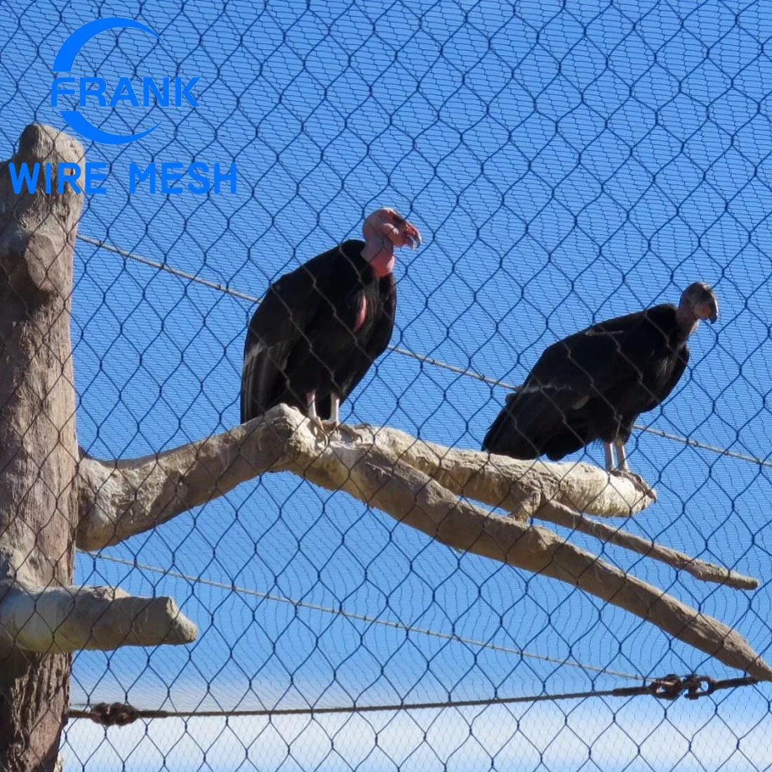 Rede de Aves de Cerca de Arame de Aço Inoxidável Trançado de Alta Qualidade da Fábrica