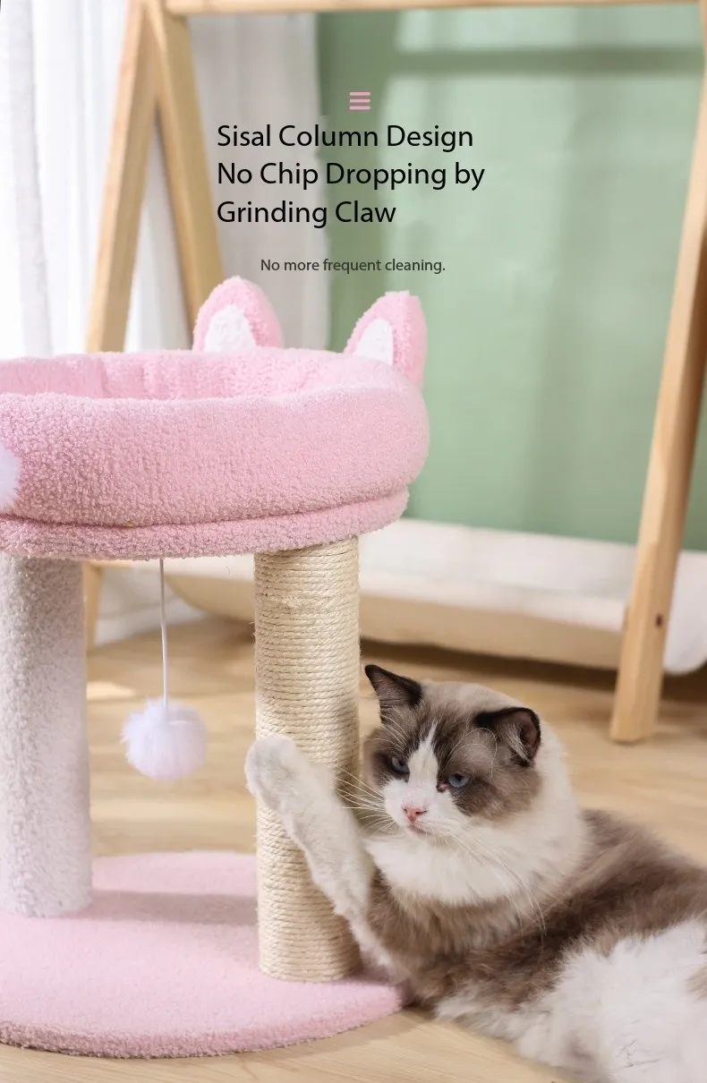 Atividade para Gatos