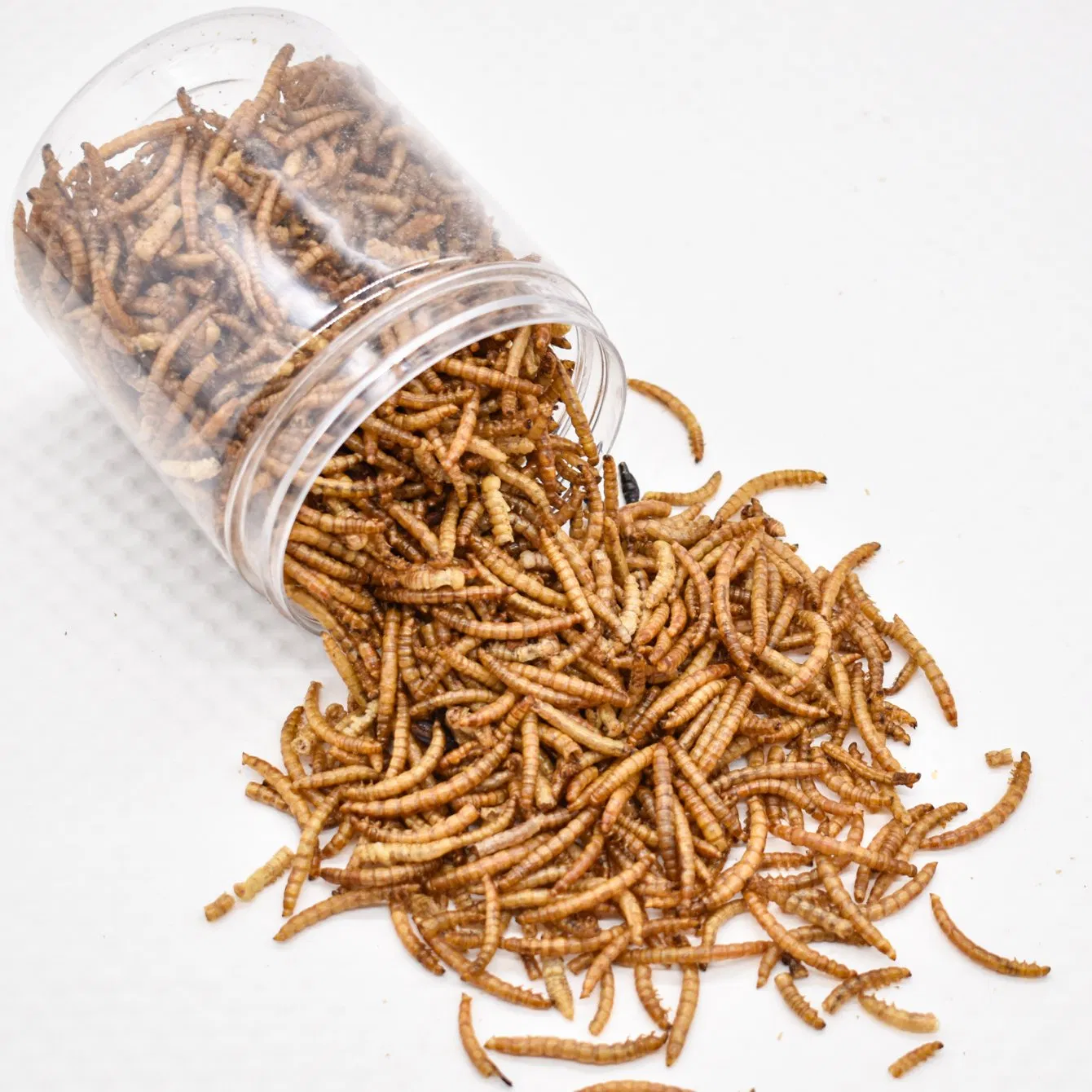 Alimento Premium Dired Yellow Mealworms em Bulk, Rico em Proteínas para Frango, Pássaro, Tartaruga e Peixe Dourado