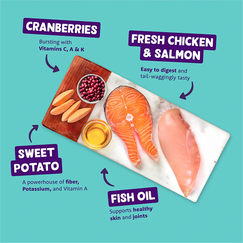Petiscos de Ração Úmida de Frango e Salmão para Cães