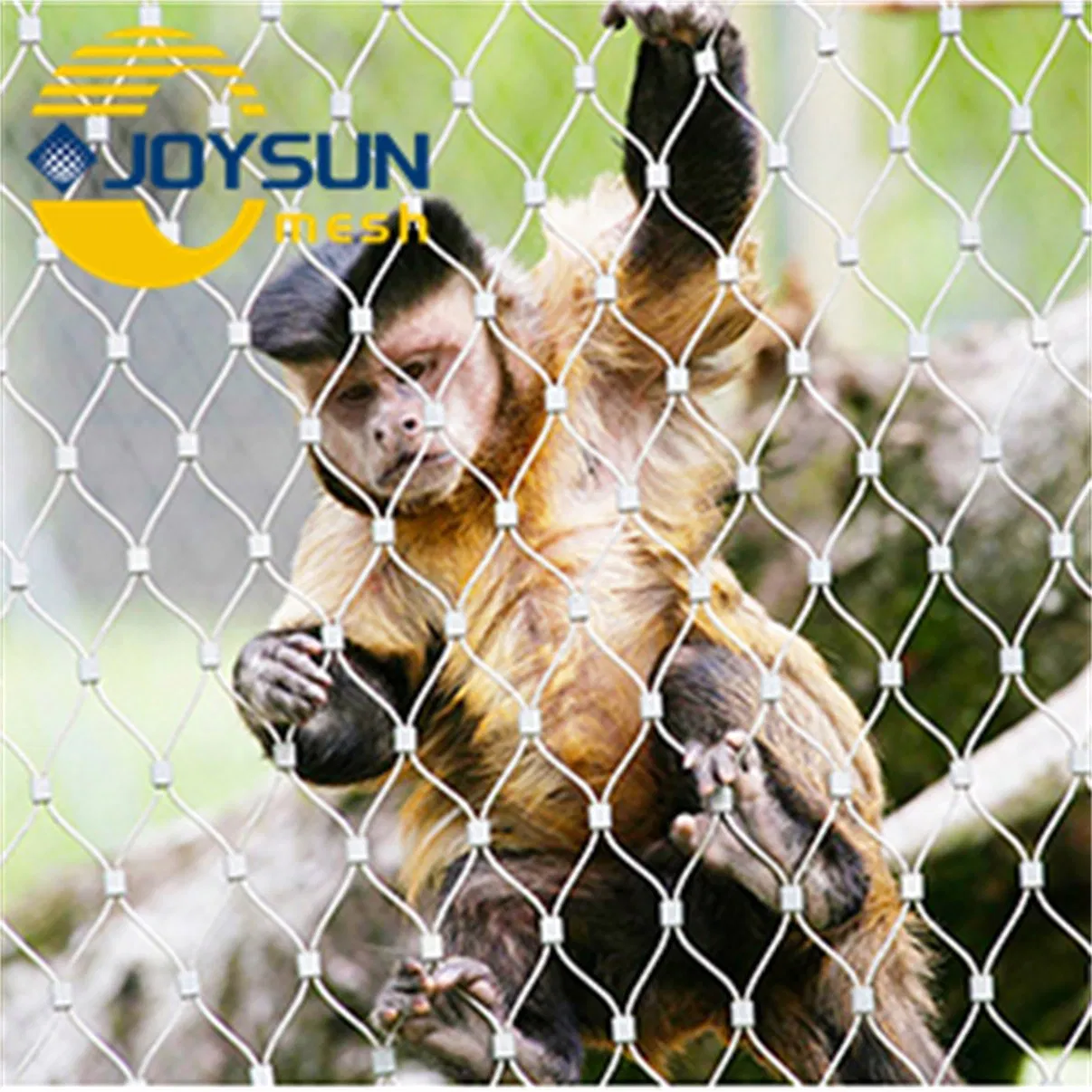 316wire Rede de Malha de Corda: Rede de Segurança / Rede de Guarda-Corpo / Rede de Aço Anti Queda / Rede de Prevenção de Queda de Aço / Rede de Segurança para Estacionamento / Cerca de Zoológico / Aviário para Pássaros