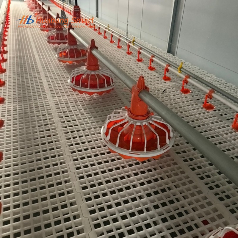 Alimentação Automática Premium Fornecendo Nutrição Consistente para Linhas de Aves de Criação em Crescimento Diariamente