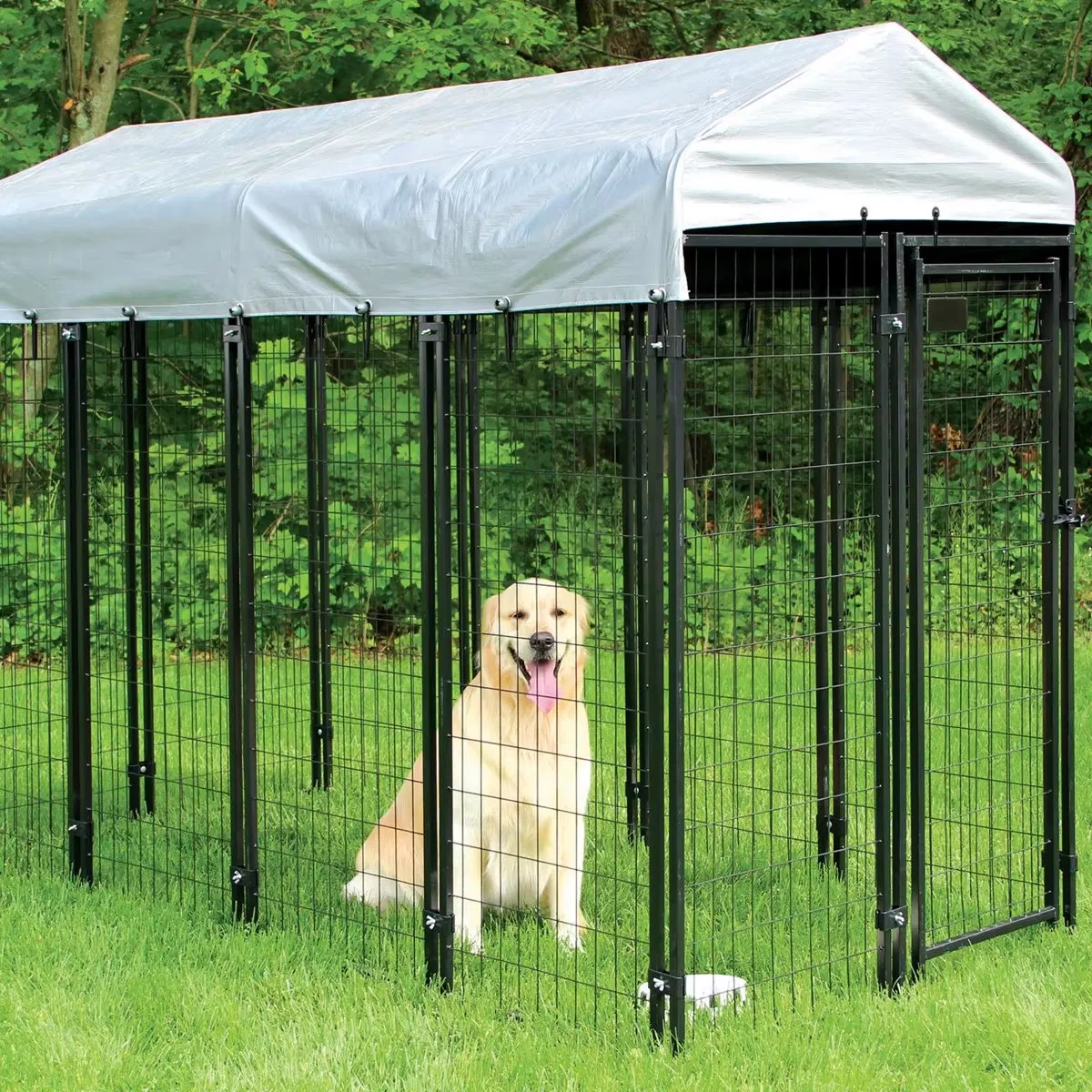 Canil Externo Premium - Grandes Gaiolas de Metal para Cães