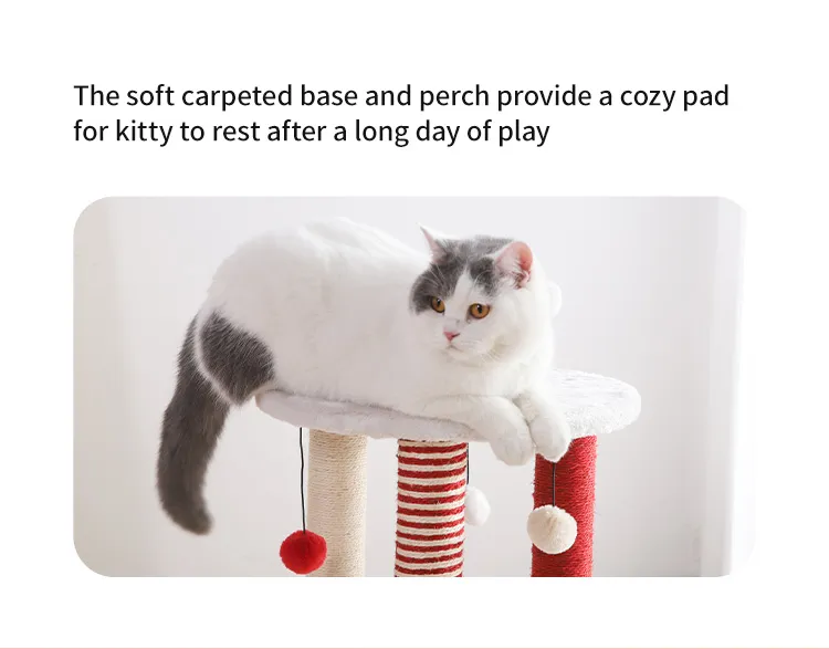 Árvore de Gato