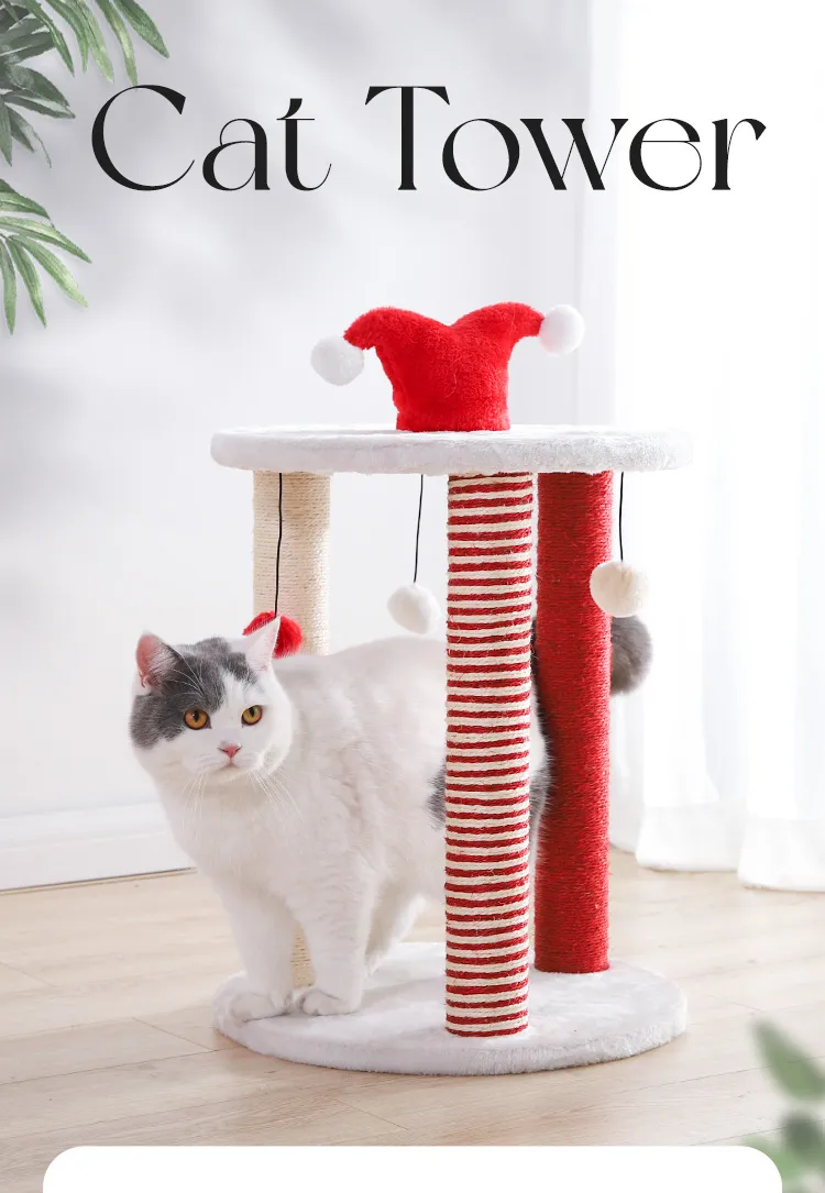 Árvore de Gato