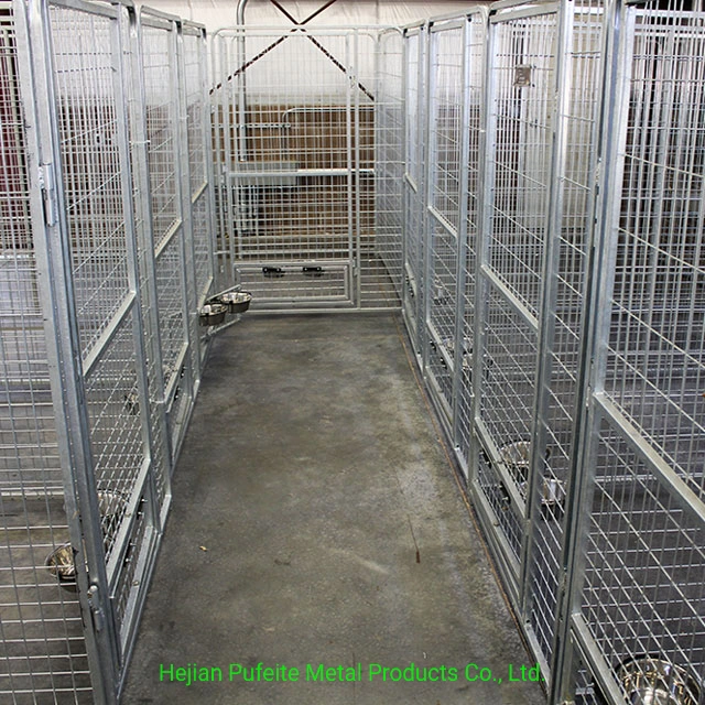 Canis múltiplos para cães em aço inoxidável para ambientes internos e externos