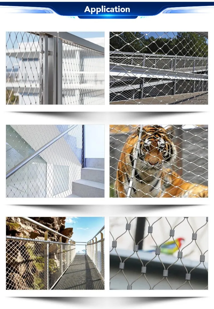 Aplicação Zoo