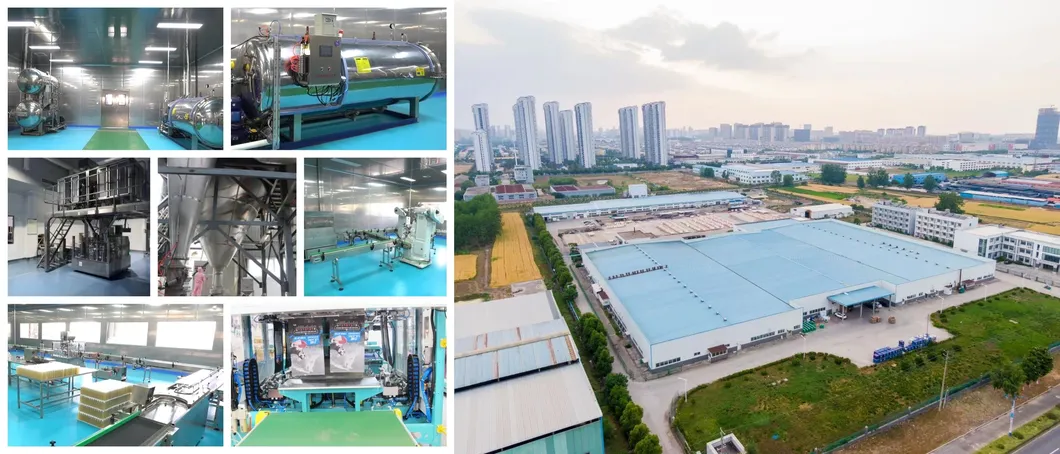 Factory View