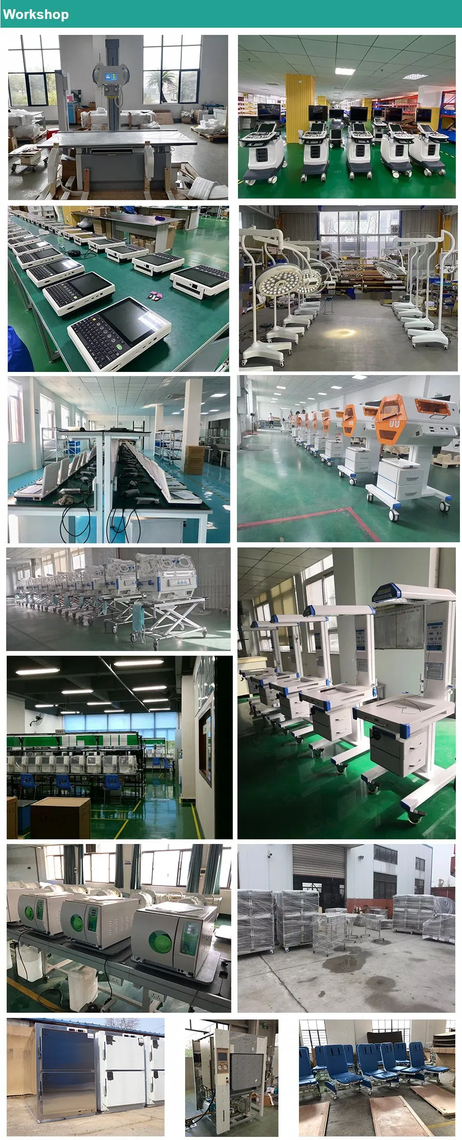 Equipamento Veterinário 2