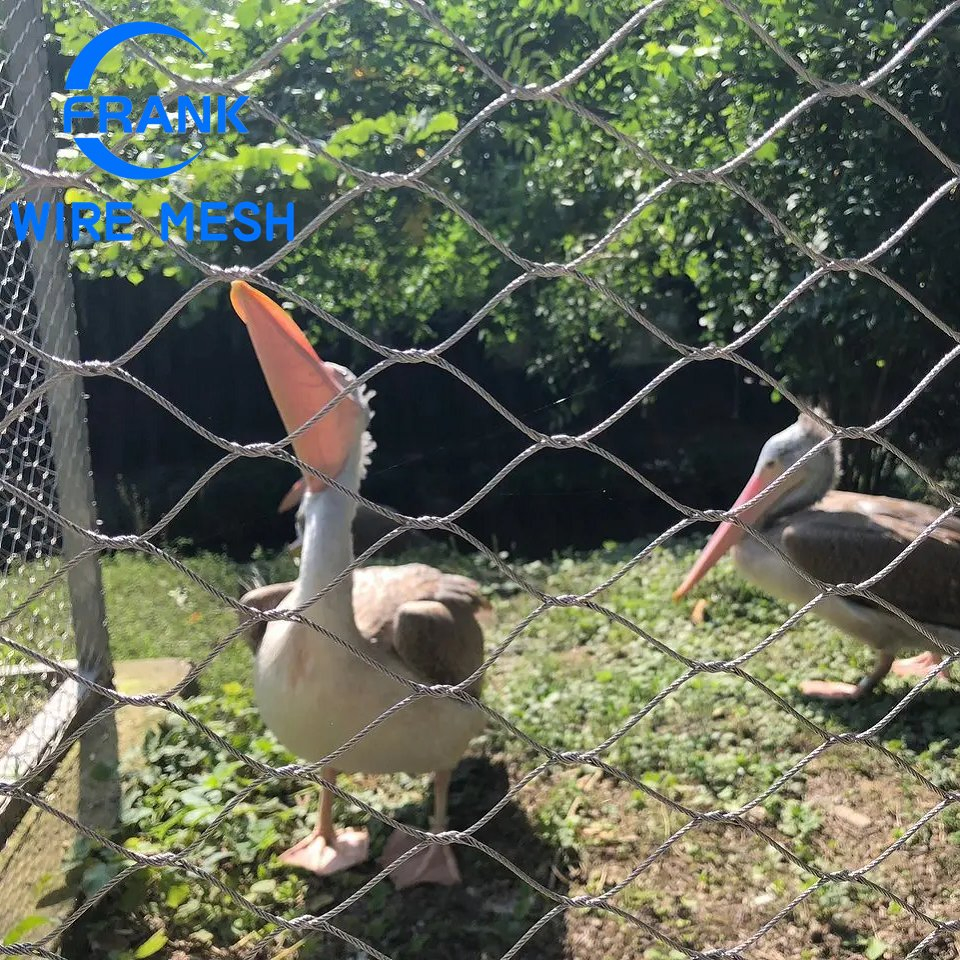 Rede de Avestruz Durável Estrutura Geral de Aves Aviário Rede de Aço Inoxidável Barreira de Aves Rede de Segurança