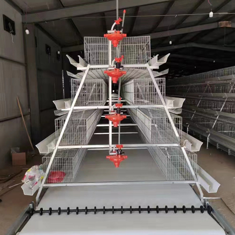 Gaiola de Bateria para Galinhas Poedeiras Equipamento de Criação de Aves