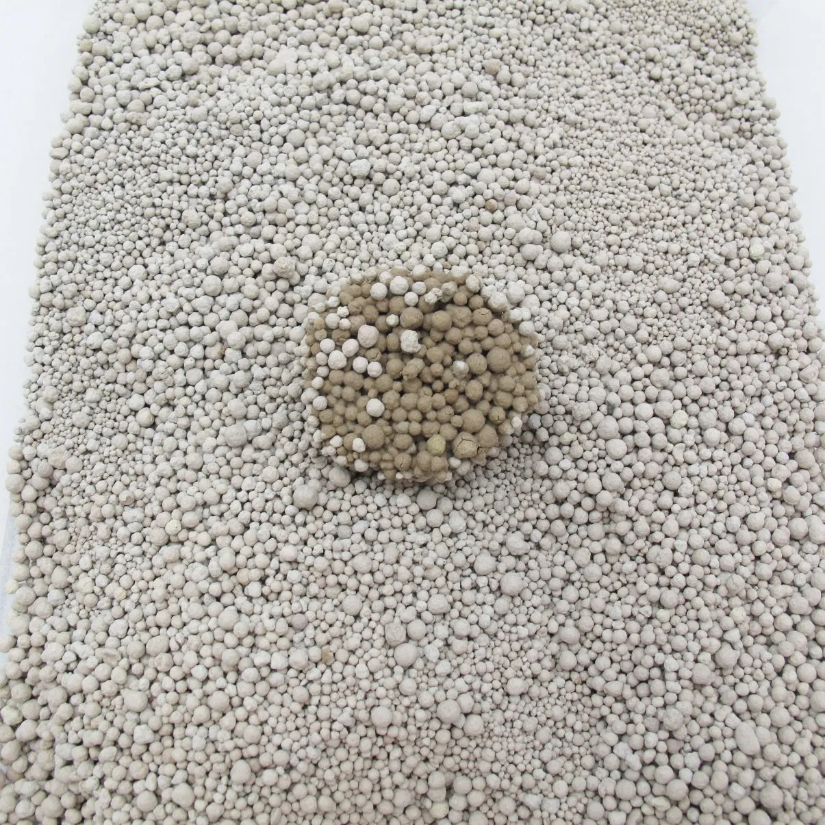 Absorção Ever Desodorizar Cheiros Limpeza Fácil Areia de Bentonita + Carvão Ativado Bentonita Moída Areia para Gato Acessórios para Animais de Estimação