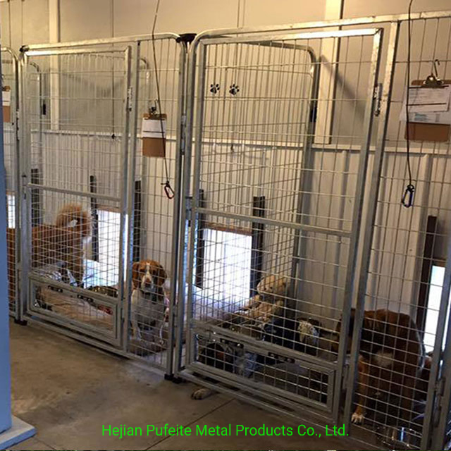 Canis múltiplos para cães em aço inoxidável para ambientes internos e externos