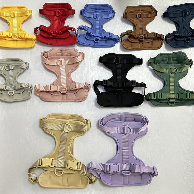 Conjunto de coleira, guia e arnês de luxo à prova d'água para cães e gatos com design personalizado