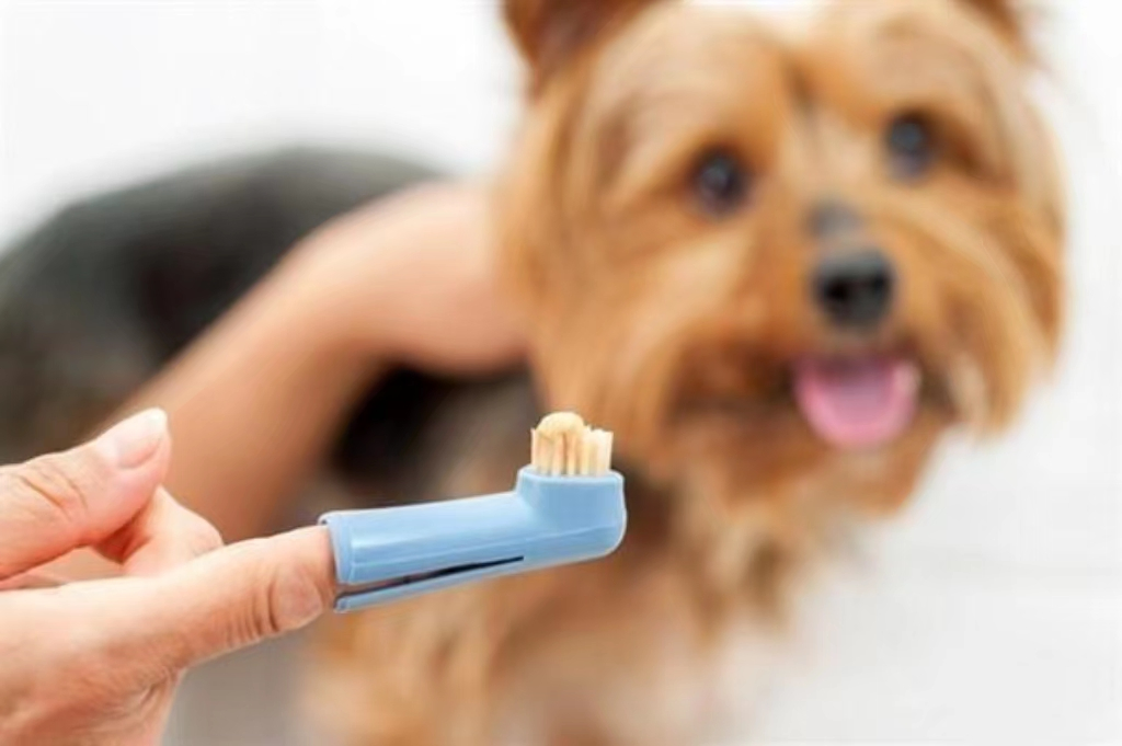 Kit de Escovação Dental Natural Fresh para Cães, Gel e Escova de Dentes