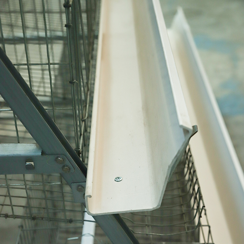 Gaiola de Bateria para Galinhas Poedeiras Equipamento de Criação de Aves