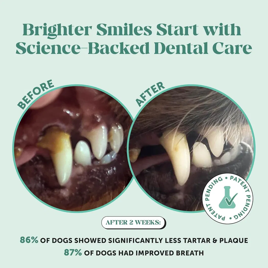 Pó Dental para Cães