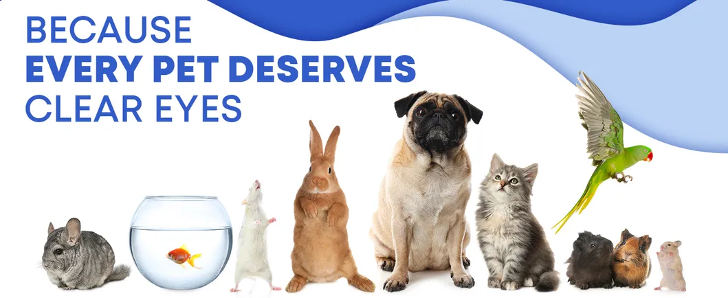 Alívio Olho Rosa Cães e Gatos