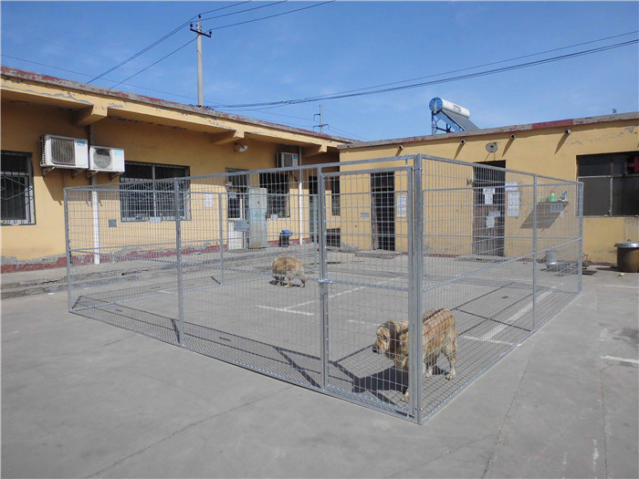 Canil para cães ao ar livre, gaiola para cães, casa para pets