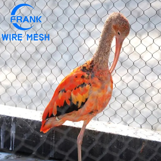Rede de Aves de Cerca de Arame de Aço Inoxidável Trançado de Alta Qualidade da Fábrica