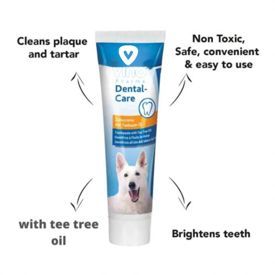 Fabricante de alta qualidade de pasta de dente para pets exporta para os EUA com preço de fábrica