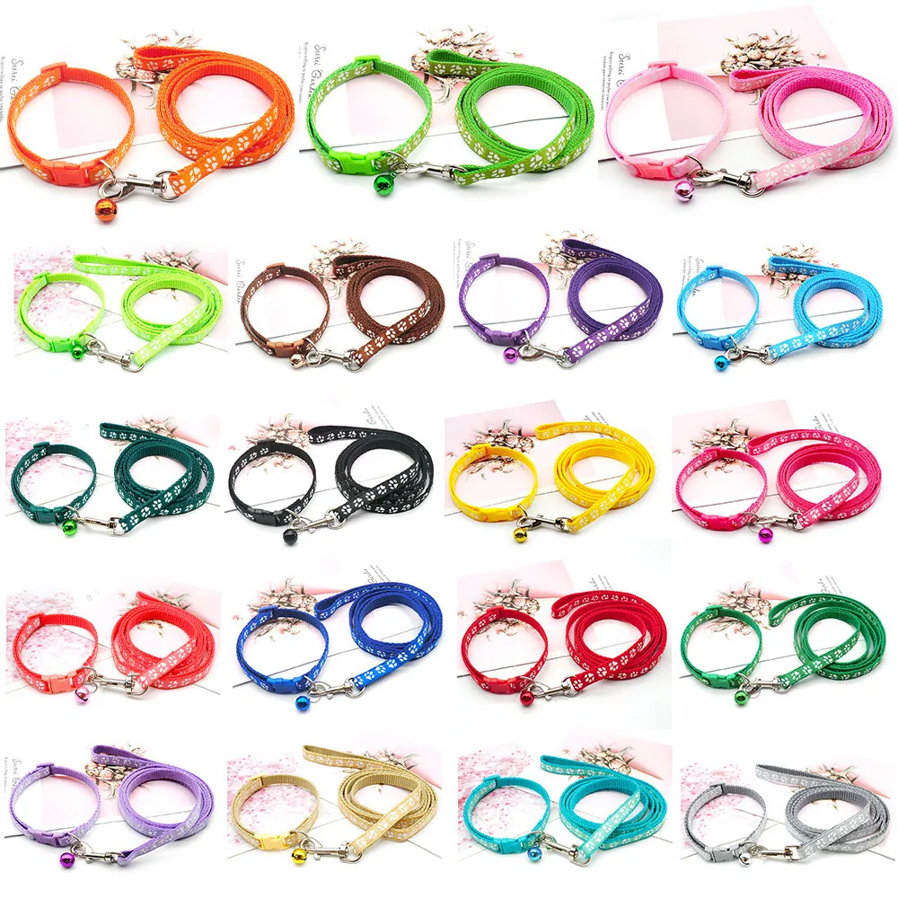 Conjunto de Coleira e Guia para Cão