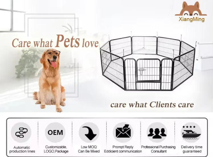 Gaiola para cães