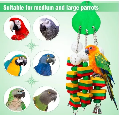 Acessórios para Aves