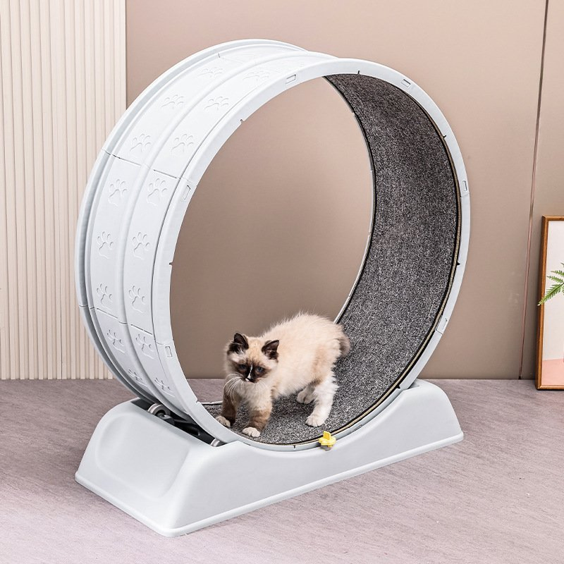 Acessórios para Gato Silenciosos, Esteira para Gato, Rodas para Corrida de Gato, Brinquedos para Gato