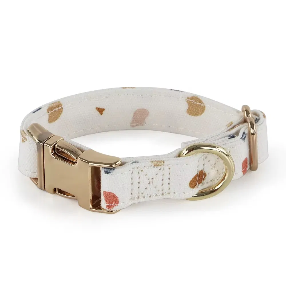 Conjunto de Coleira e Guia para Cães à Prova d'Água com Design Personalizado em Várias Cores com Webbing Revestido em PVC para Fornecimento de Animais de Estimação