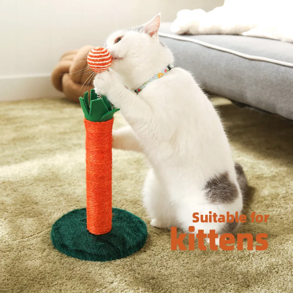 Árvore de Gato 2