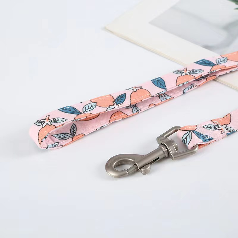 Coleira de cachorro, guia de cachorro, corrente de guia de cachorro, cinta peitoral de gato, cinta peitoral de algodão para frutas