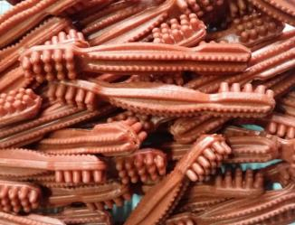 Alimento Seco para Animais de Estimação Sabor Carne Bovina Escova de Dentes de Dupla Cabeça Alimento para Animais e Petiscos para Cães