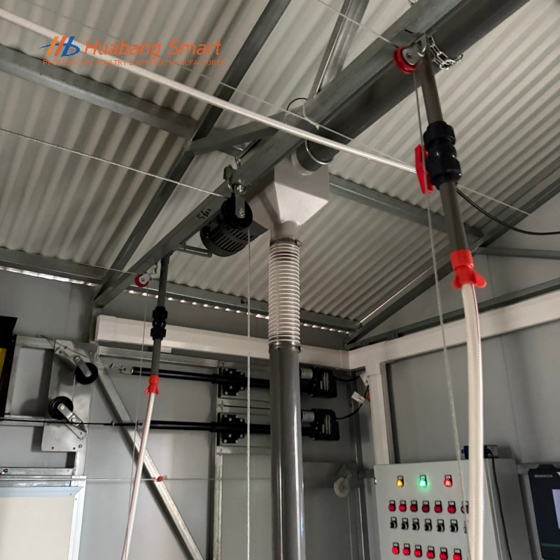 Alimentação Automática Premium Fornecendo Nutrição Consistente para Linhas de Aves de Criação em Crescimento Diariamente