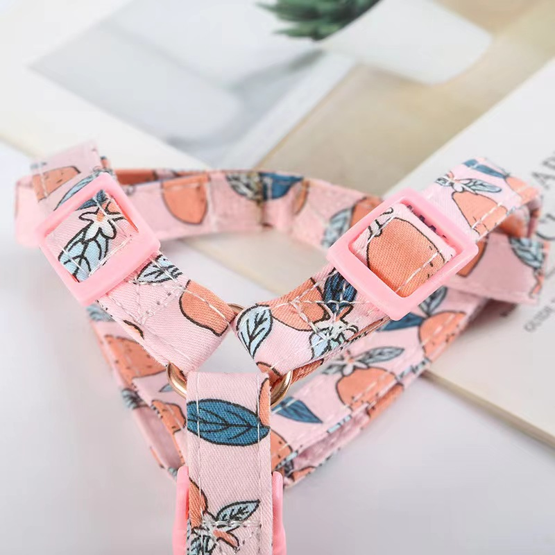 Coleira de cachorro, guia de cachorro, corrente de guia de cachorro, cinta peitoral de gato, cinta peitoral de algodão para frutas