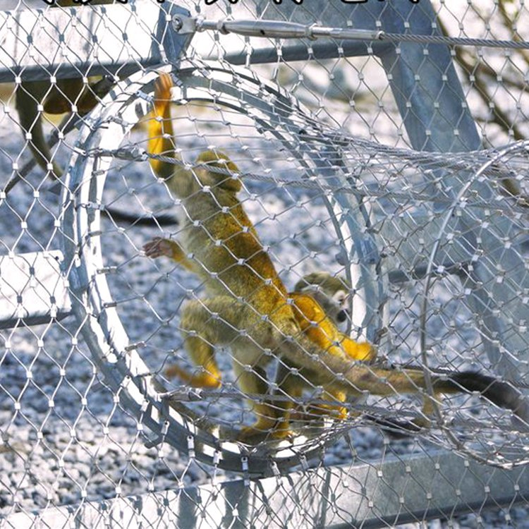 Malha de Arame de Aço Inoxidável para Zoo Malha Protetora Aviário Externo