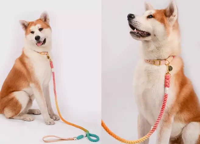 Coleira de Cão de Algodão com Corda e Couro &amp; Guia de Couro para Cão