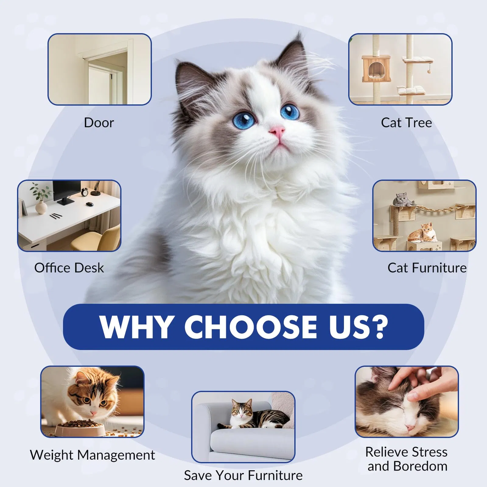 Brinquedo Interativo Automático Elétrico para Gato, USB Recarregável, Varinha de Pluma de Borboleta Fluttering para Enriquecimento e Estímulo Interno