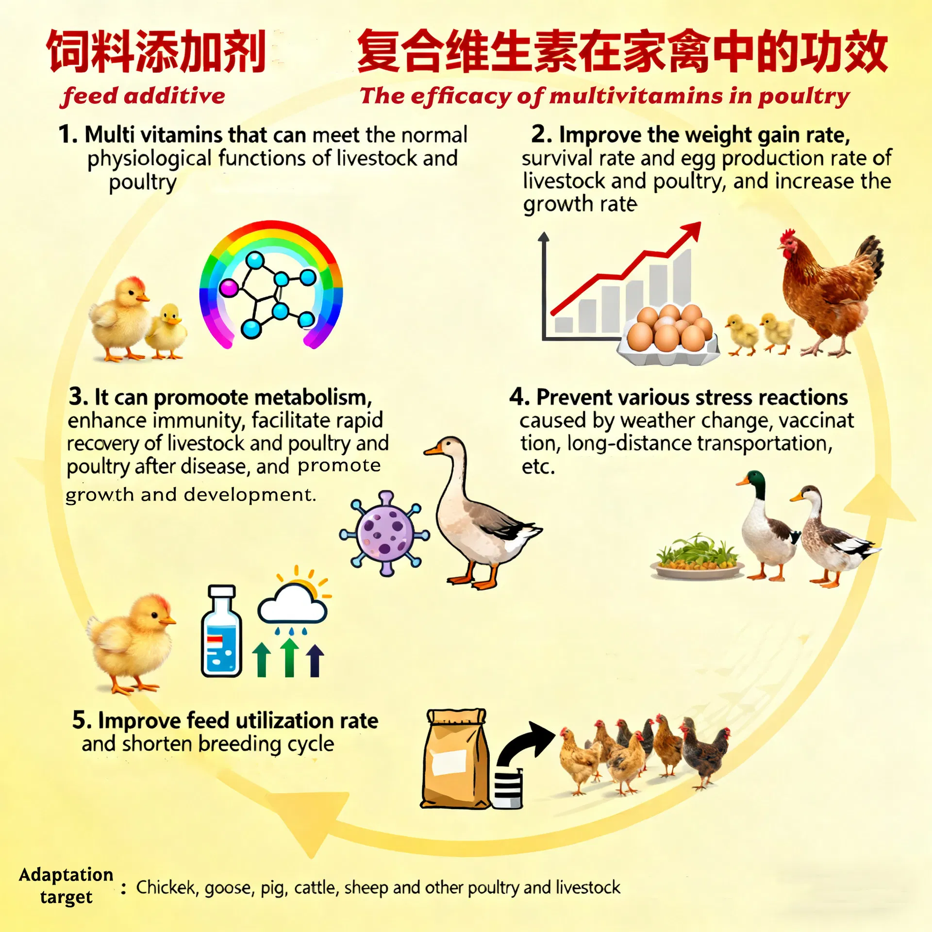 Aditivo Alimentar Vitaminas Solúveis em Água para Nutrição de Aves e Animais Aquáticos