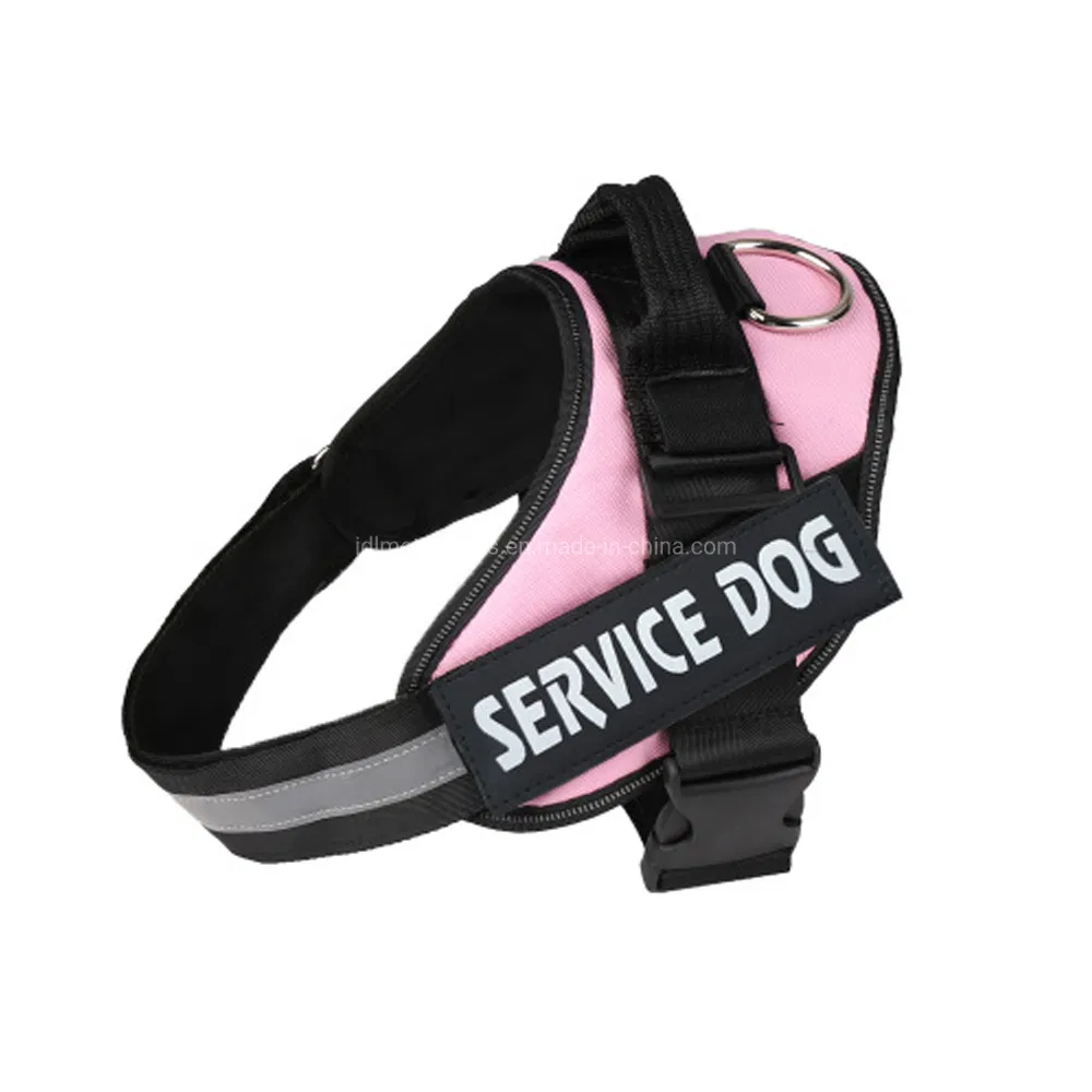Coleira e Guia para Cão e Gato com Padrão Personalizado de Flores, Personalize seu Próprio Logo, Design Único em Poliéster e Nylon