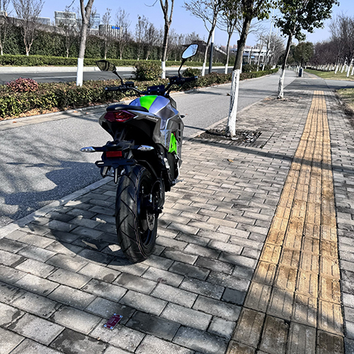 China Best Two-wheeled Electric Bike :Model: Constrictor Supplier, Suppliers