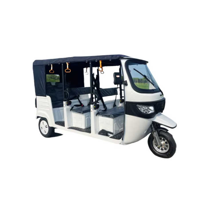 Global Leading Electric  Passenger Tricycle 9 Seater Tuk Tuk 3 Wheel Motorcycle (S3 - Iron Frame) Manufacturer, Supplier