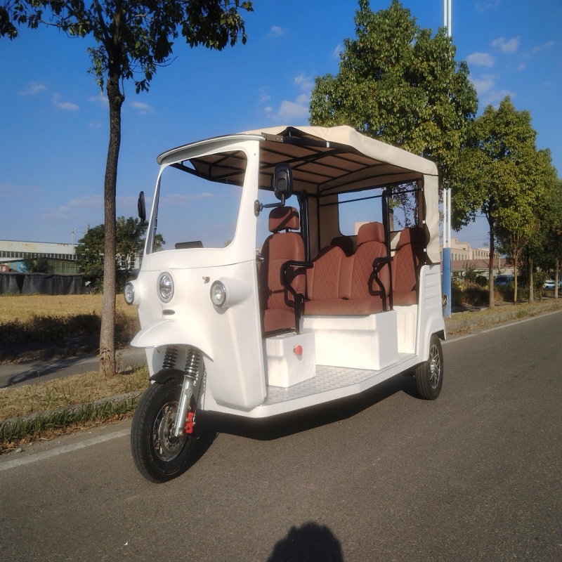 China High-Quality New Model 3 Wheels Electric Passenger Tricycles Three Wheel for Adult(Audi Face Tricycle(6-seater)  Manufacturer, Manufacturers