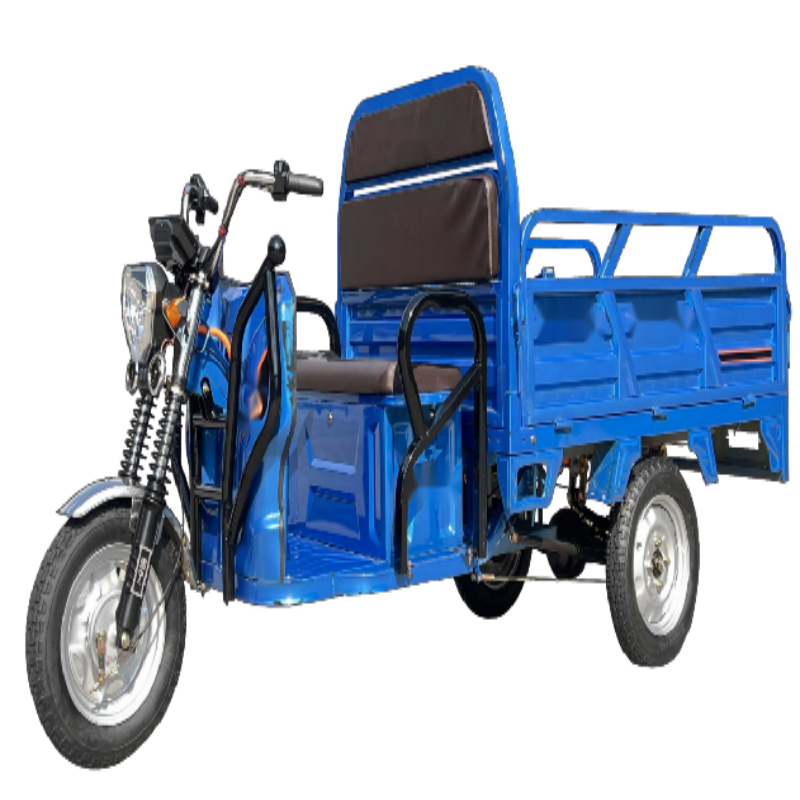 Global Leading  Hot Selling Cargo Electric Tricycle 1.6m Standard (Overbearing Door Invisible Backrest)  Manufacturer, Supplier