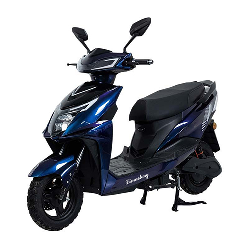 China Wholesale Two-wheeled Electric Bike :Model: ZS Manufacturer, Manufacturers